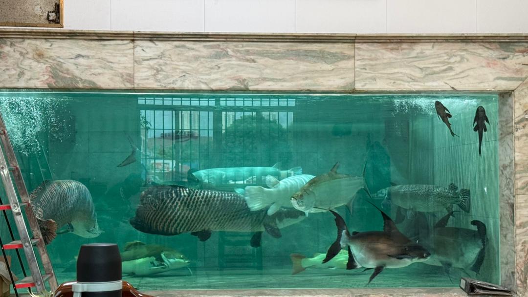 豪华水族箱