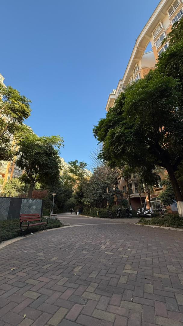 城市街角的宁静时光